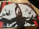 Bad Religion - The Empire Strikes First *Vinyl* LP SEALED Clear W/ Red