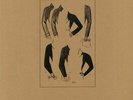 NORMAL BRAIN - Lady Maid - Vinyl (LP)