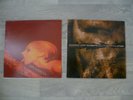 Cock and Ball Torture LP s Goregrind Porngrind Gutalax Rompeprop Grindcore Metal
