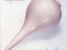 Deftones Adrenaline NEAR MINT Warner Bros Vinyl LP