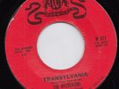 The MYSTERIONS transylvania 45 pounding R&B ROCKER horror HALLOWEEN surf HEAR ?