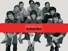 AP | Blood, Sweat & Tears - Bloodlines 8-LP-Box (45rpm, 200g-edition)