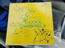 Cool Gabriels LP promo label andy Warhol cover