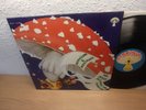 WITTHÜSER & WESTRUPP DER JESUS PILZ KRAUT. LP MINT