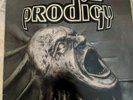 The prodigy music for the jilted generation