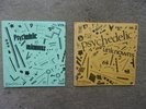 PSYCHEDELIC UNKNOWNS-Vol. #1 & #2 Double EPs Calico Records Mono '60s Psych