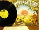 Vinyl LP Maury Muehleisen: Gingerbreadd; Orig 1970 Capitol St-644 w/Lyrics MINT-