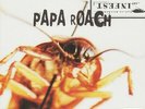 Papa Roach - Infest Vinyl LP NEU 0554711