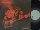 Chameleons - Tripping dog