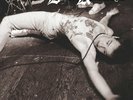Dead Kennedys Live Boston 1981  only 30 copies in clear 7