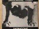 SACCHARINE TRUST?– PAGANICONS Vinyl Record LP 1981 w/ Insert NM/VG+