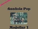 Mogollar - ANADOLU POP  LP Vinyl Turkish Folk Psychedelic Rock Music