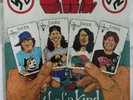 D.R.I. Dirty Rotten Imbeciles - 4 Of A Kind (Vinyl,LP,Album)