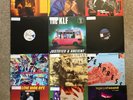(12) 12” DJ Vinyl RECORDS MUST SEE ALISHA PM DAWN MELLOW MAN ACE NENEH CHERRY