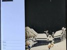 Weezer - Pinkerton Blue Black Marble Vinyl VMP Exclusive Limited