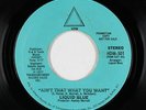 70s Soul Disco 45 - Liquid Blue - Ain't That What You Want - HDM - mp3 - promo