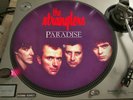 The Stranglers ?–  Paradise  12