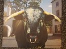 Swervedriver Mezcal Head 1993 ( CRELP 143) vinyl rock