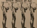 BUTTHOLE SURFERS BROWN REASON TO LIVE 1983 U.S. PUNK PRESSING VIRUS 32 WITH BOOK