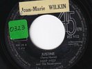 MEEP MEEP And The ROADRUNNERS * 1965 US GARAGE FRAT ROCK SURF * Belgian 45 *