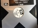 The prodigy Vinyl 12