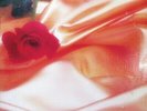 The Isley Brothers Between The Sheets T-Neck Vinyl LP