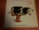DLP ELIO E LE STORIE TESE ITALYAN, RUM CASUSU CIKTI HUK 4715531 VG/M PS 1992 MCZ