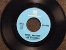 northern soul THE WINSTONS Amen Brother METROMEDIA 117