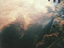 RECORD COMPANY, The - All Of This Life - Vinyl (LP)