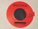 Punk 45 - Scott Peddcord -I Want You Babe / She's for Me - Specttrus - VG++