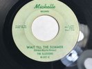 The ILLUSIONS MICHELLE Wait Till The Summer VG/+ M-001-x City Of People Rare 45