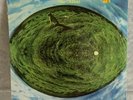 MIKE OLDFIELD - HERGEST RIDGE - VIRGIN RECORDS-790590-1 - 