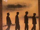 ECHO & THE BUNNYMEN - SONGS TO LEARN & SING GREATEST HITS Vinyl LP New - SEALED