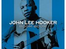 John Lee Hooker Boom Boom 3LP Gatefold Set on GRAY Vinyl Record 42 Great Tracks