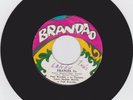 PAPI BRANDAO - FRANCIA 1a / LOS MAESTROS Panama CUMBIA Private 45 Rare LISTEN