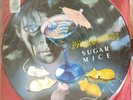 Marillion Sugar Mice 12