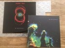 Vinyle Pearl Jam - Binaural