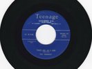 RARE 1957 R&B DOO WOP - THE DEMENS - TAKE ME AS I AM/YOU BROKE MY HEART - VG++