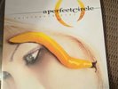 A Perfect Circle - Thirteenth Step vinyl record