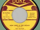 SULTANS How Deep Is the Ocean / Good Thing Baby 45rpm Duke 1954 doo-wop