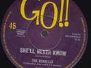 The RONDELLS She'll Never Know / I'll Be Gone 45 - GO    SirH70