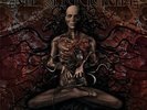 Meshuggah ?- Obzen 2 x LP Oxblood COLORED 300 Vinyl Album DJENT Metal Record