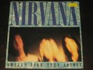 Nirvana rare '91 German 45 Smells Like Teen Spirit in PS EX/EX GRUNGE INDIE