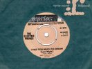THE ELECTRIC PRUNES-I HAD TOO MUCH TO DREAM-REPRISE.