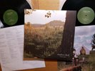 ANDREW BIRD - Noble Beast 2009 FAT POSSUM 2LP gatefold + inners INDIE ROCK