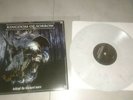 Kingdom Of Sorrow Behind The Blackest Tears Ltd Grey Vinyl LP