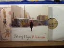 JOHNNY FLYNN 2 LP SET 