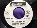 Rare Psych 45 : The Growing Concern   A Boy I Once Knew Well   Mainstream 685