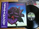 THIN LIZZY - BLACK ROSE - 1979 1st JAPAN 12