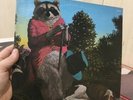 J.J. Cale Naturally(Crazy Mama hype .1971 Shelter 8908 Ex-nm